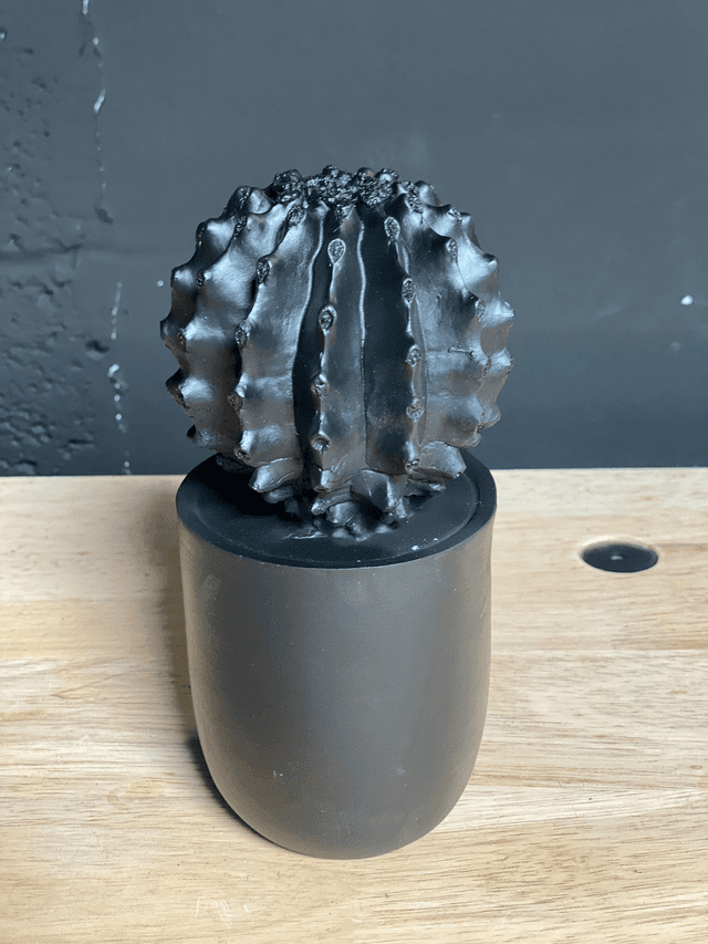 Décoration Cactus (Noir)